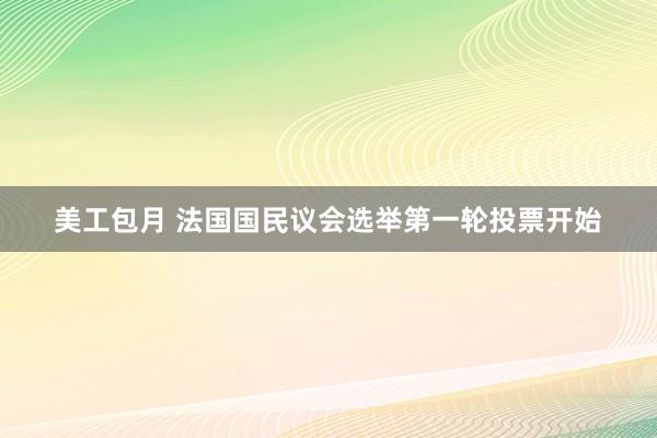 美工包月 法国国民议会选举第一轮投票开始