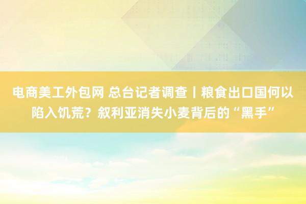 电商美工外包网 总台记者调查丨粮食出口国何以陷入饥荒？叙利亚消失小麦背后的“黑手”