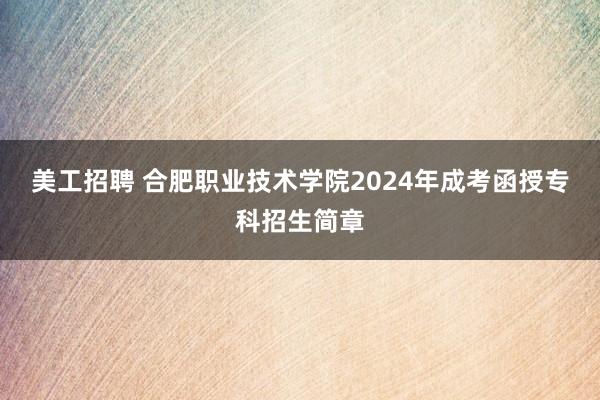 美工招聘 合肥职业技术学院2024年成考函授专科招生简章