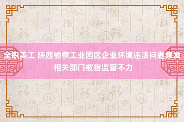 全职美工 陕西榆横工业园区企业环境违法问题频发 相关部门被指监管不力