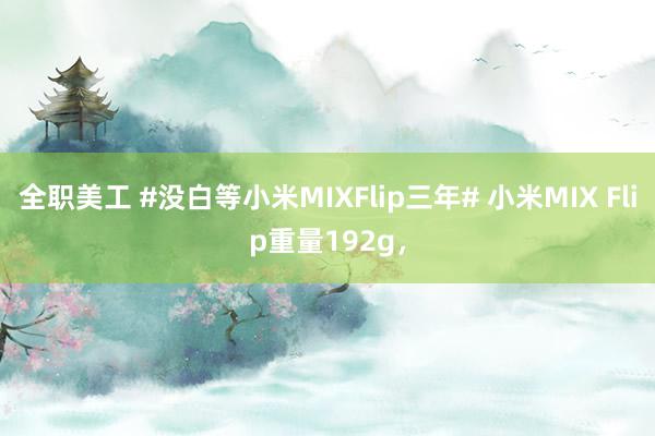 全职美工 #没白等小米MIXFlip三年# 小米MIX Flip重量192g，