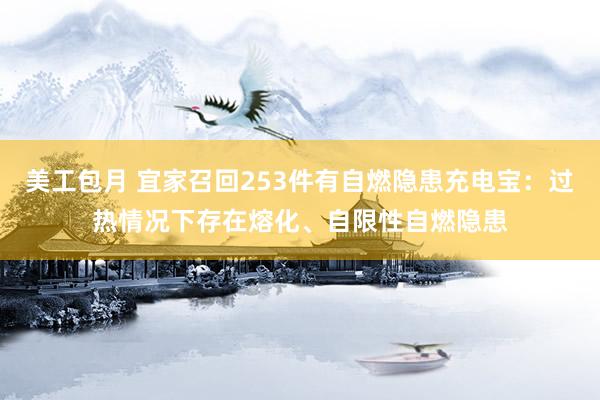 美工包月 宜家召回253件有自燃隐患充电宝：过热情况下存在熔化、自限性自燃隐患