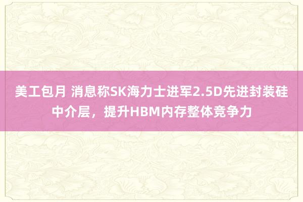 美工包月 消息称SK海力士进军2.5D先进封装硅中介层，提升HBM内存整体竞争力